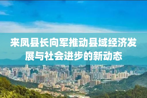 来凤县长向军推动县域经济发展与社会进步的新动态