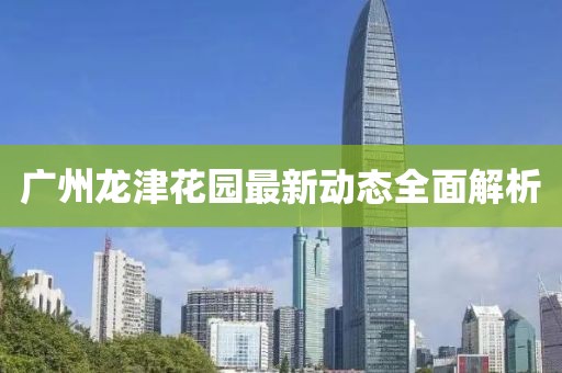 广州龙津花园最新动态全面解析
