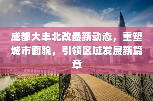 成都大丰北改最新动态，重塑城市面貌，引领区域发展新篇章