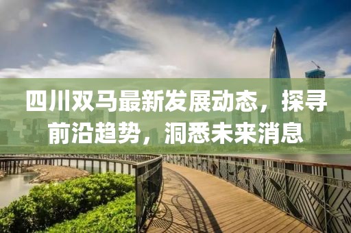 四川双马最新发展动态，探寻前沿趋势，洞悉未来消息