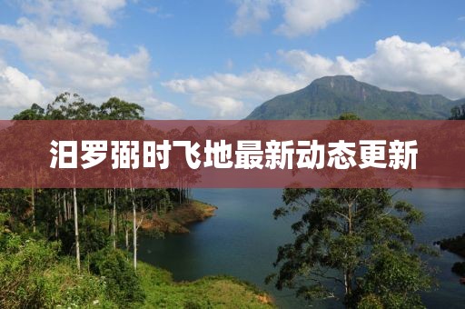 汨罗弼时飞地最新动态更新