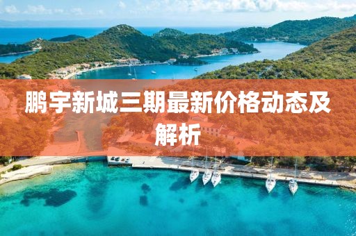 鹏宇新城三期最新价格动态及解析