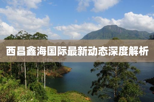西昌鑫海国际最新动态深度解析