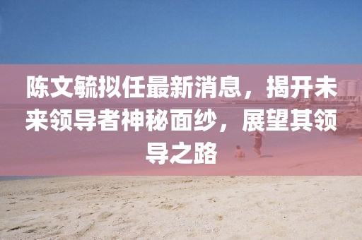 陈文毓拟任最新消息，揭开未来领导者神秘面纱，展望其领导之路