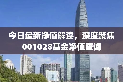 今日最新净值解读，深度聚焦001028基金净值查询