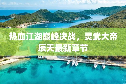 热血江湖巅峰决战，灵武大帝辰天最新章节