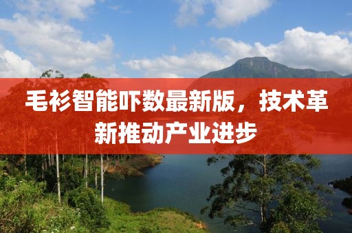 毛衫智能吓数最新版，技术革新推动产业进步