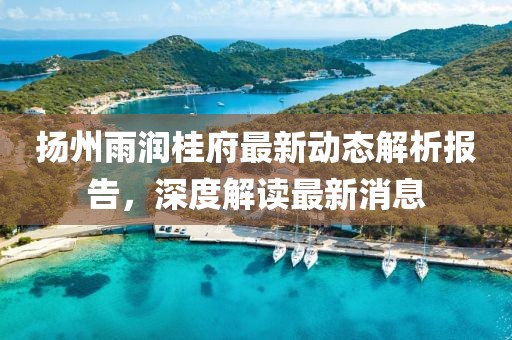 扬州雨润桂府最新动态解析报告，深度解读最新消息
