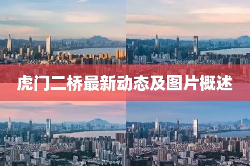 虎门二桥最新动态及图片概述