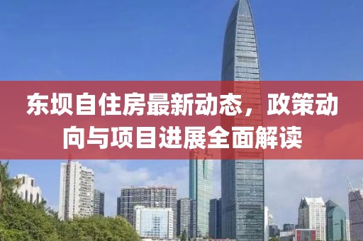 东坝自住房最新动态，政策动向与项目进展全面解读