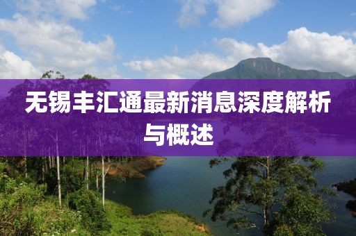 无锡丰汇通最新消息深度解析与概述