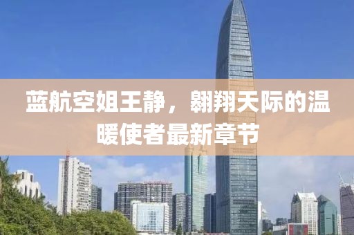 蓝航空姐王静，翱翔天际的温暖使者最新章节