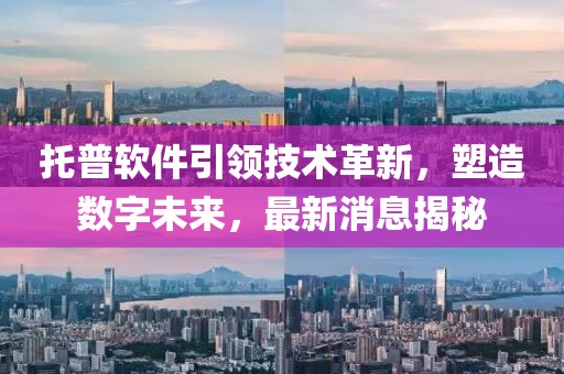 托普软件引领技术革新，塑造数字未来，最新消息揭秘