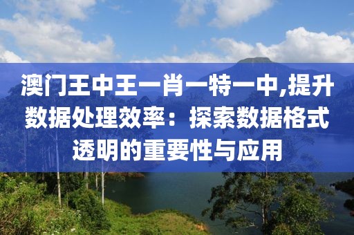 澳门王中王一肖一特一中,提升数据处理效率：探索数据格式透明的重要性与应用