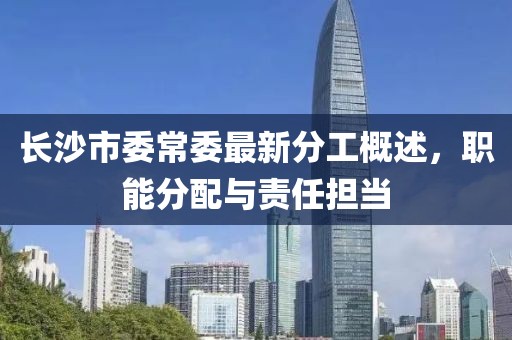 长沙市委常委最新分工概述，职能分配与责任担当