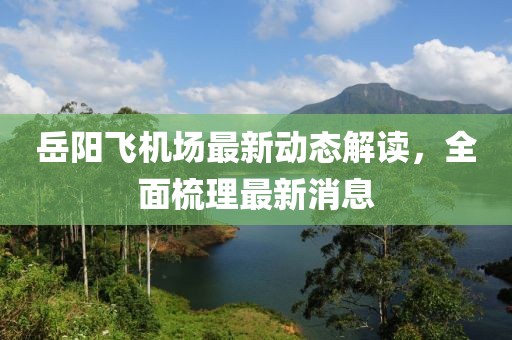 岳阳飞机场最新动态解读，全面梳理最新消息