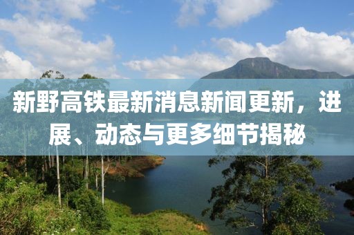 新野高铁最新消息新闻更新，进展、动态与更多细节揭秘