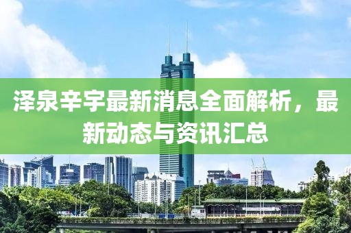 泽泉辛宇最新消息全面解析，最新动态与资讯汇总