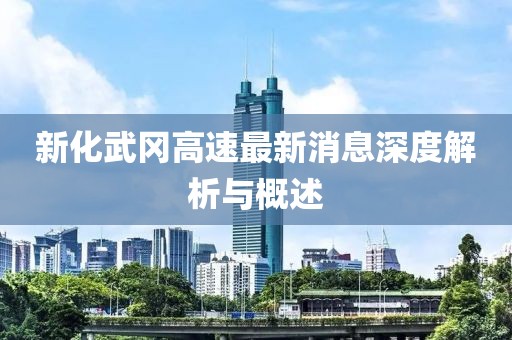 新化武冈高速最新消息深度解析与概述