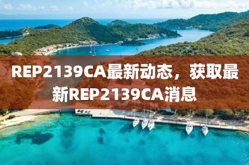 REP2139CA最新动态，获取最新REP2139CA消息