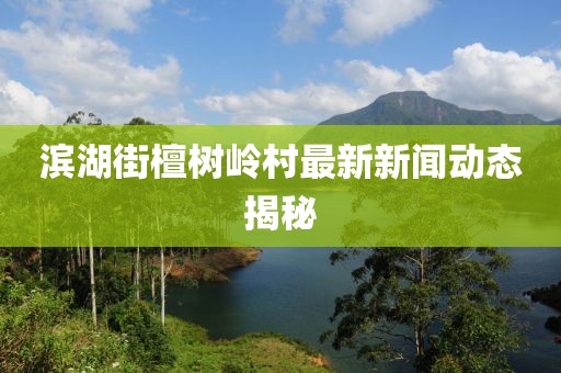 滨湖街檀树岭村最新新闻动态揭秘