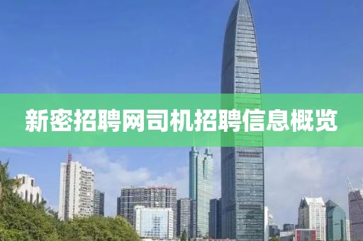 新密招聘网司机招聘信息概览