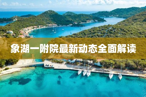 象湖一附院最新动态全面解读
