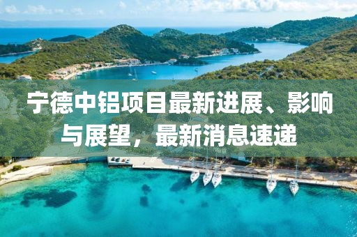 宁德中铝项目最新进展、影响与展望，最新消息速递