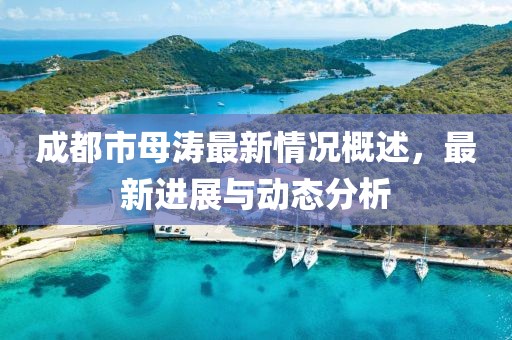 成都市母涛最新情况概述，最新进展与动态分析