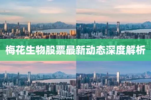 梅花生物股票最新动态深度解析