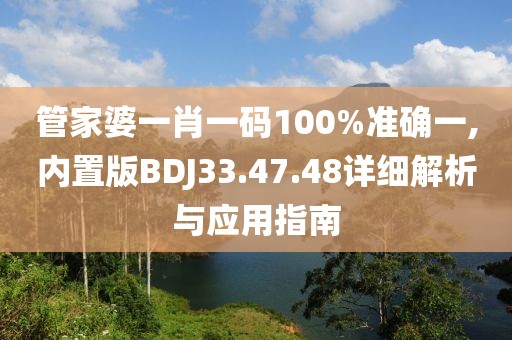 管家婆一肖一码100%准确一,内置版BDJ33.47.48详细解析与应用指南