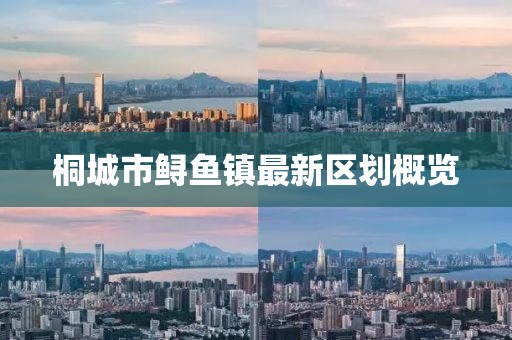 桐城市鲟鱼镇最新区划概览