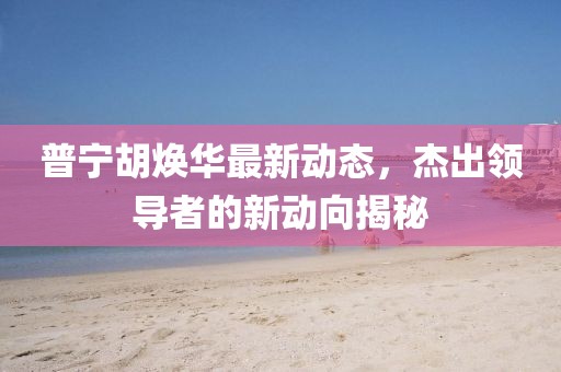 普宁胡焕华最新动态，杰出领导者的新动向揭秘