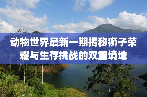 动物世界最新一期揭秘狮子荣耀与生存挑战的双重境地