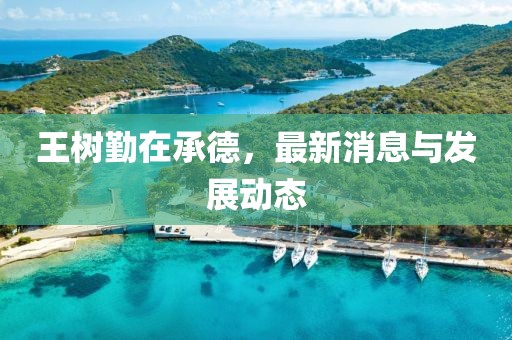 王树勤在承德，最新消息与发展动态