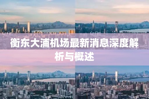 衡东大浦机场最新消息深度解析与概述