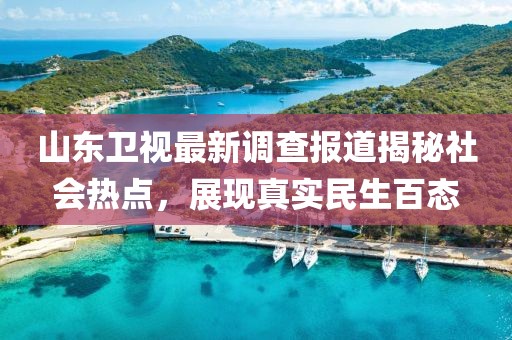山东卫视最新调查报道揭秘社会热点，展现真实民生百态