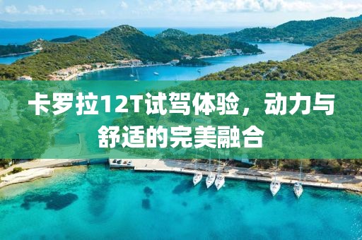 卡罗拉12T试驾体验，动力与舒适的完美融合