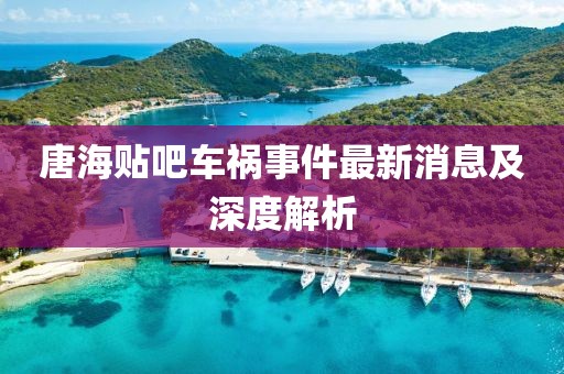 2025年2月 第48页