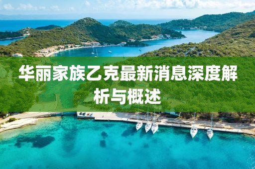 华丽家族乙克最新消息深度解析与概述