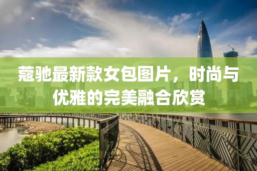 蔻驰最新款女包图片，时尚与优雅的完美融合欣赏