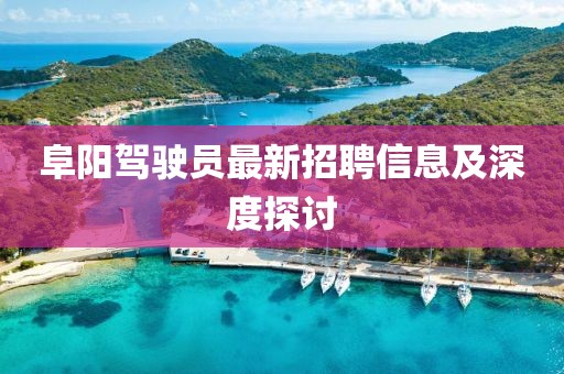 阜阳驾驶员最新招聘信息及深度探讨