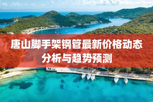 唐山脚手架钢管最新价格动态分析与趋势预测