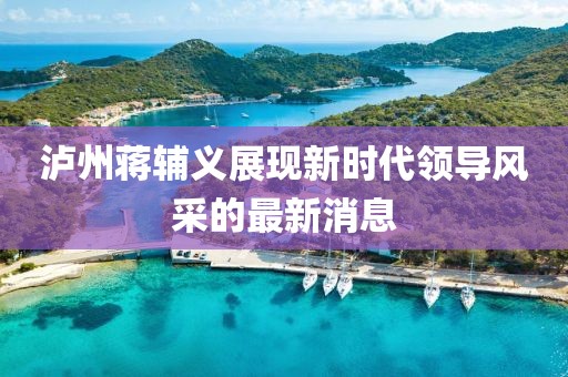 泸州蒋辅义展现新时代领导风采的最新消息