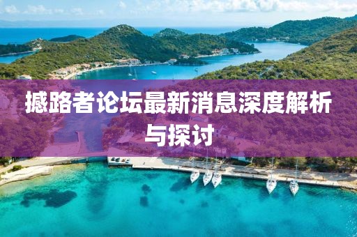 撼路者论坛最新消息深度解析与探讨