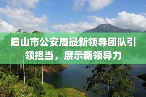 眉山市公安局最新领导团队引领担当，展示新领导力