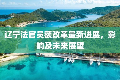 辽宁法官员额改革最新进展，影响及未来展望
