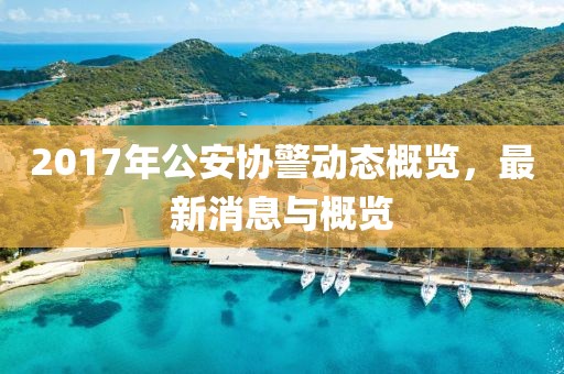 2017年公安协警动态概览，最新消息与概览
