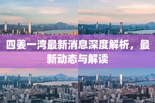 四姜一湾最新消息深度解析，最新动态与解读