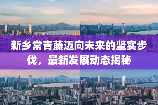 新乡常青藤迈向未来的坚实步伐，最新发展动态揭秘